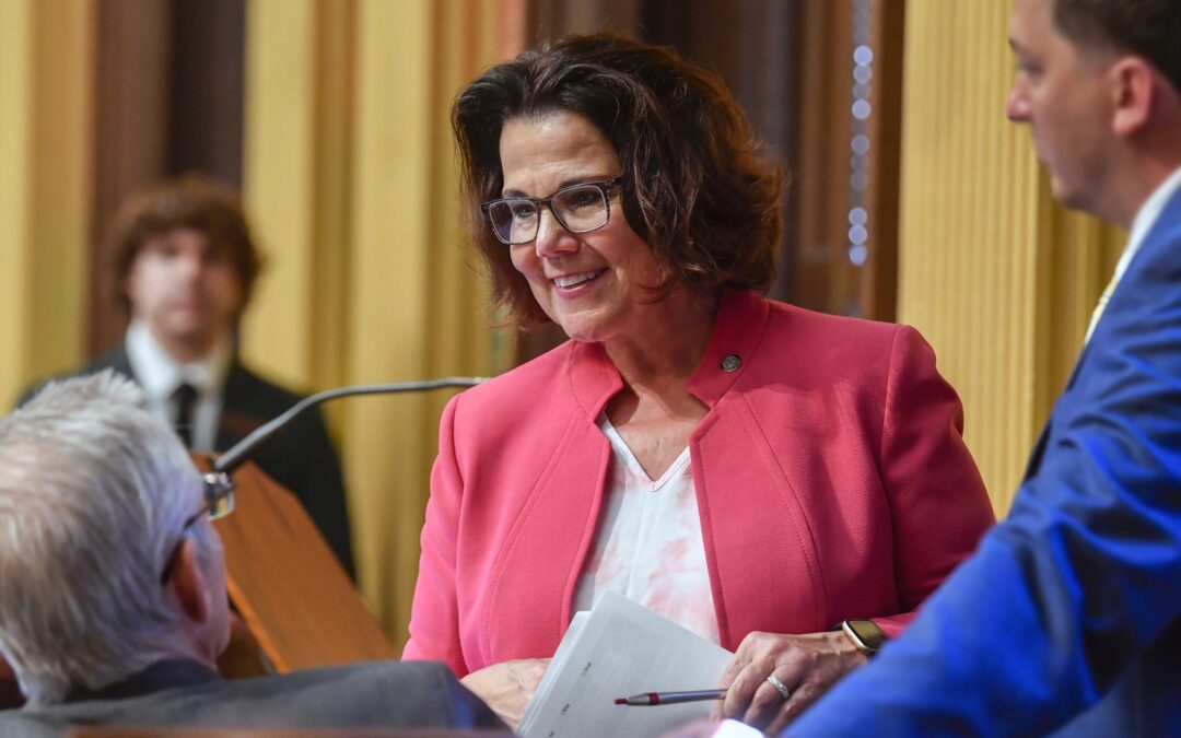 Legislator Q&A: Rep. Ann Bollin